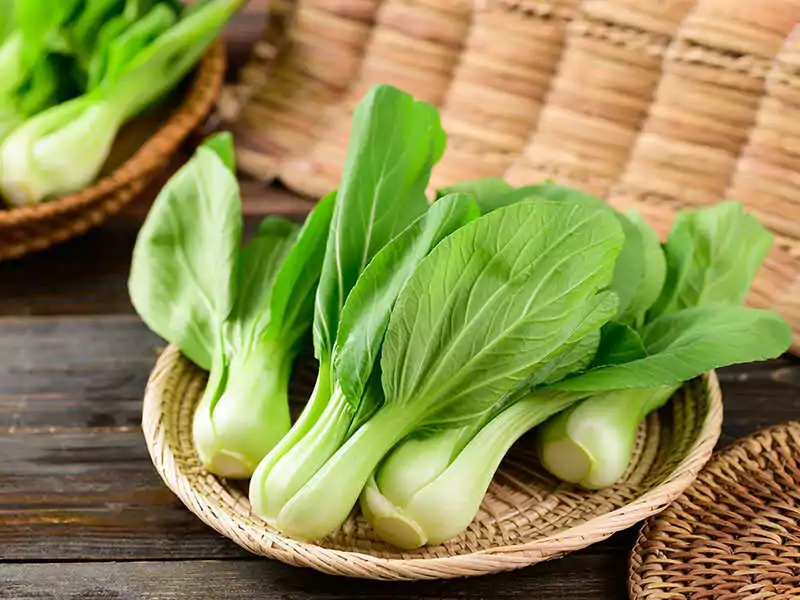 Bok Choy