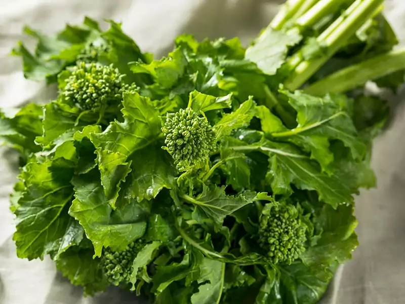 Broccoli Rabe