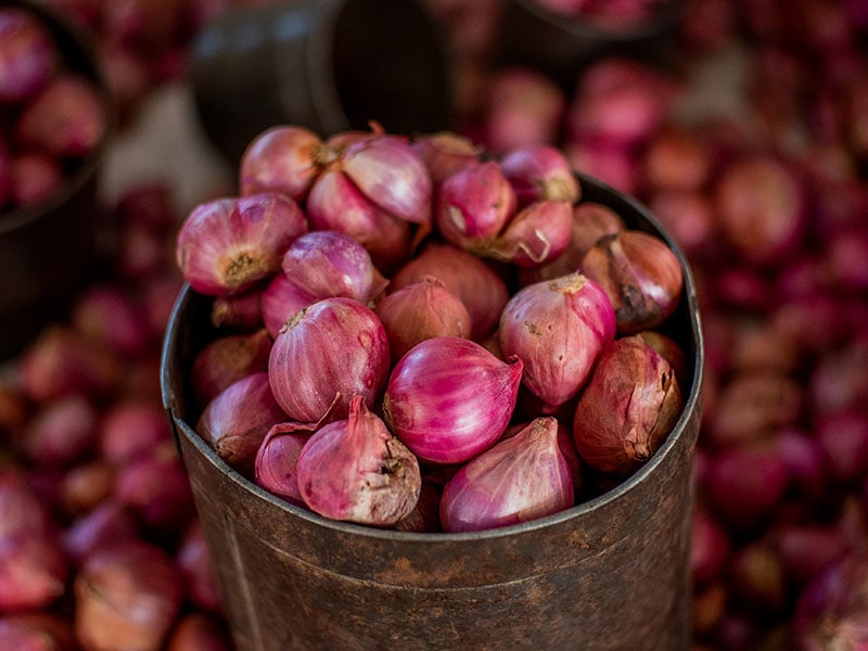 Cans Of Dried Shallot