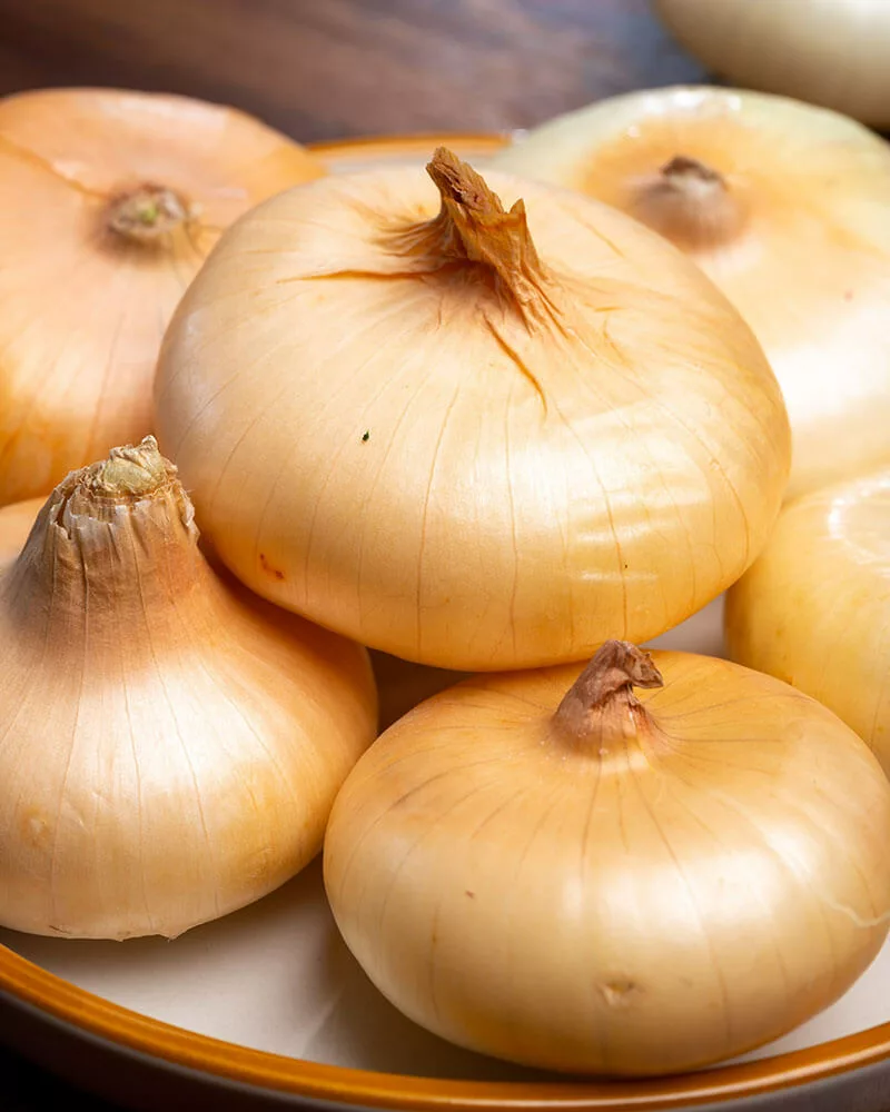 Flat Italian Onion