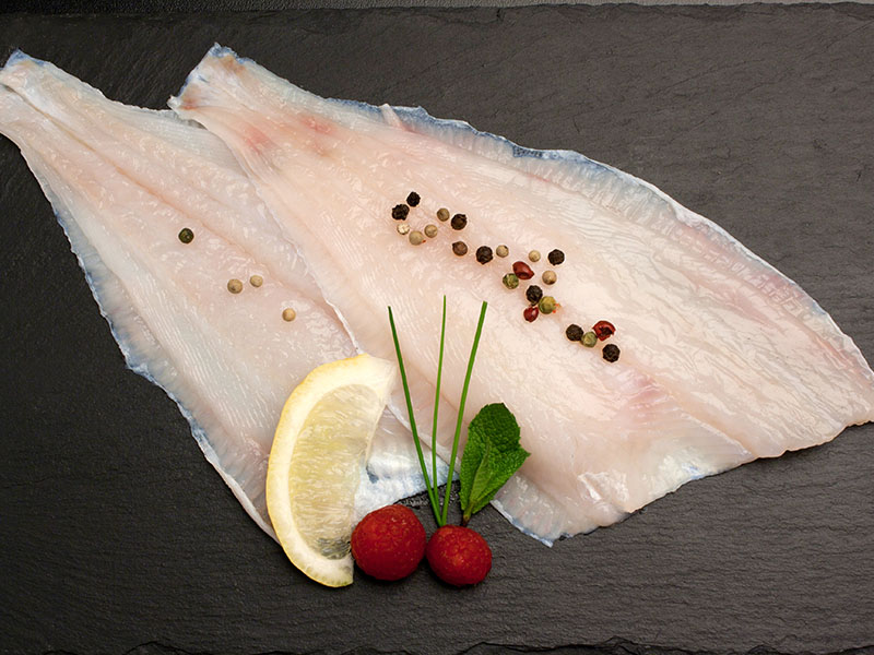 Flounder Fillet