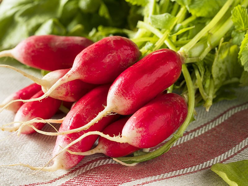 French Breakfast Radish