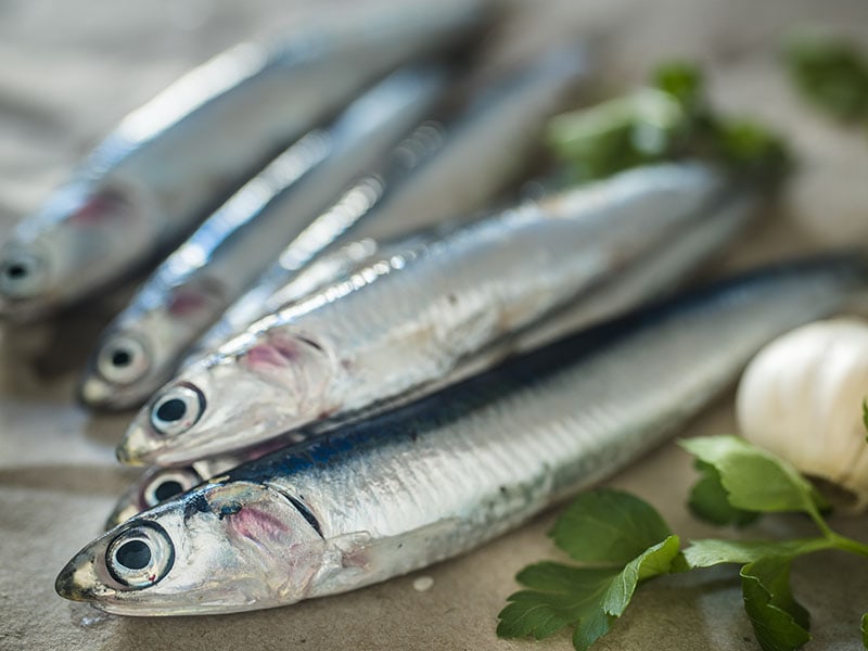 Fresh Anchovies