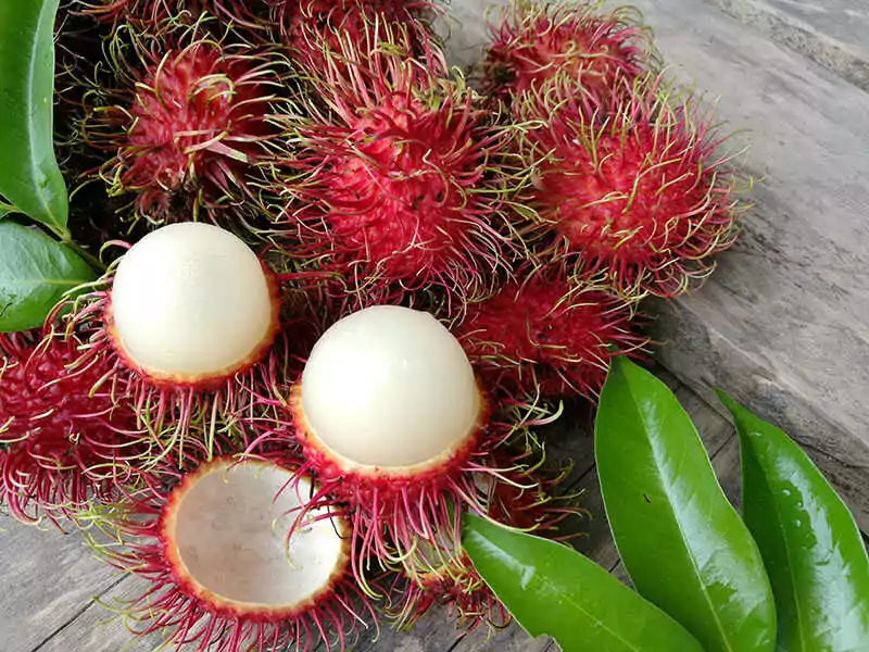 Fresh Rambutan