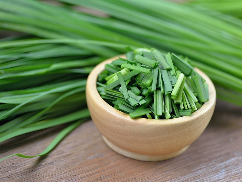 Garlic Chives