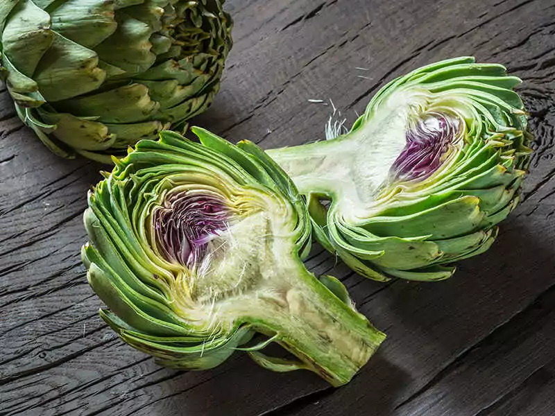 Green Purple Artichoke