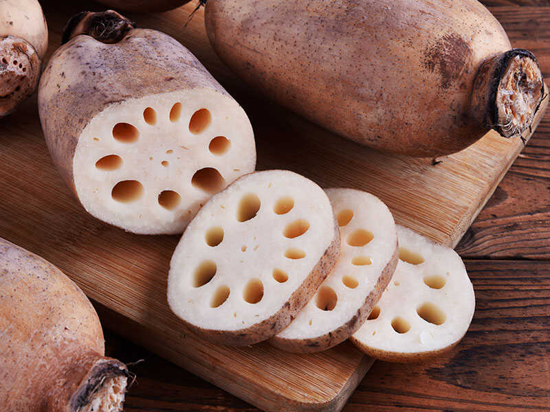 Lotus Root