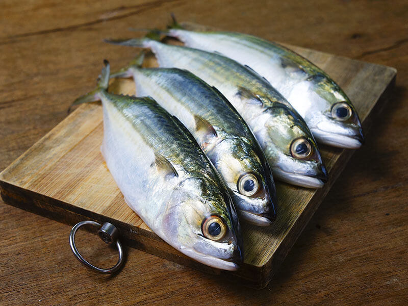 Mackerel Fish