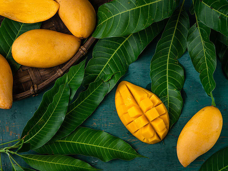 Mango Fruit