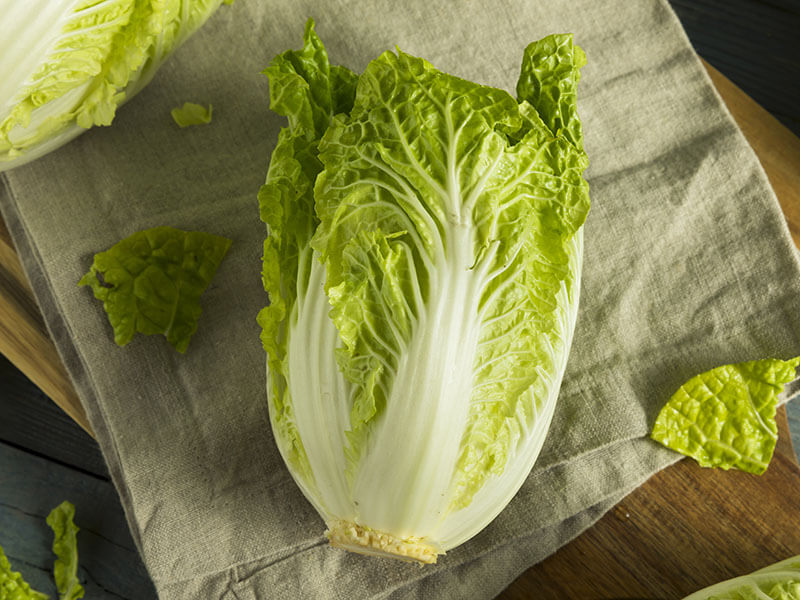 Napa Cabbage