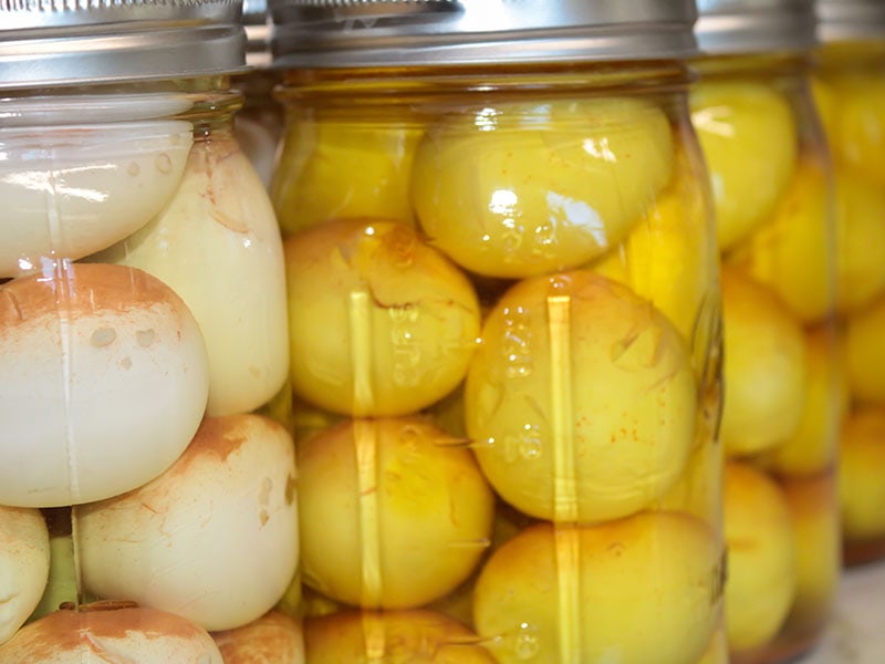 Pickled Eggs