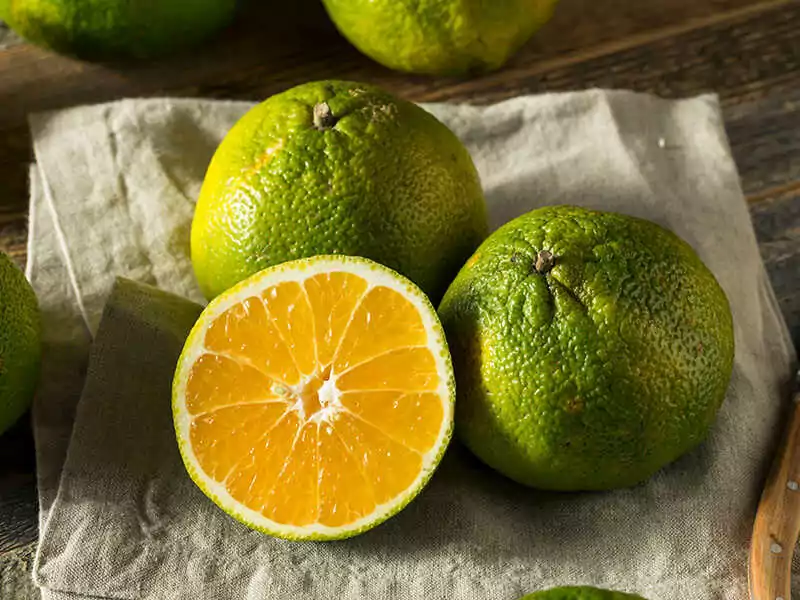 Ugli Fruit