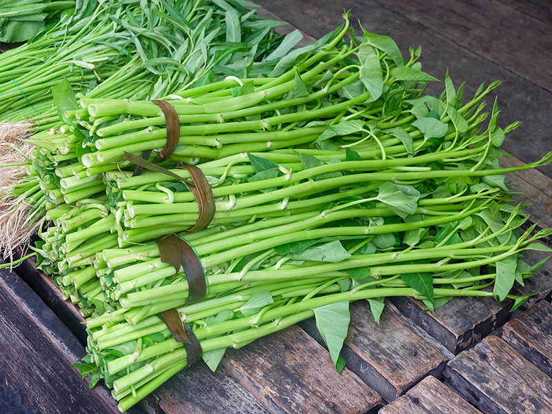 Water Spinach