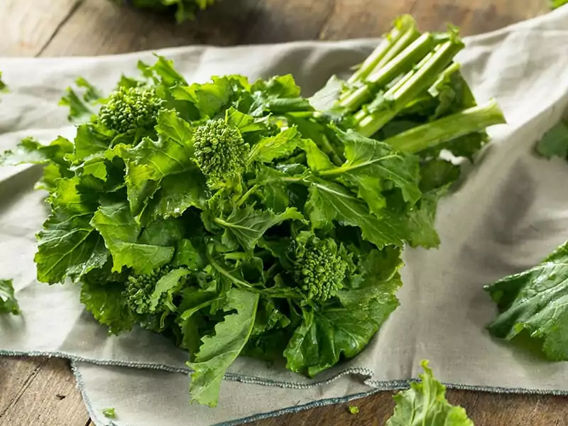 Broccoli Rabe