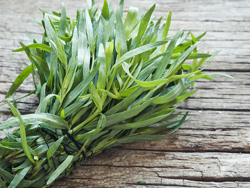 Bunch Fresh Tarragon