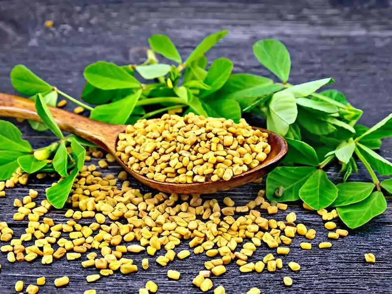 Fenugreek Seeds