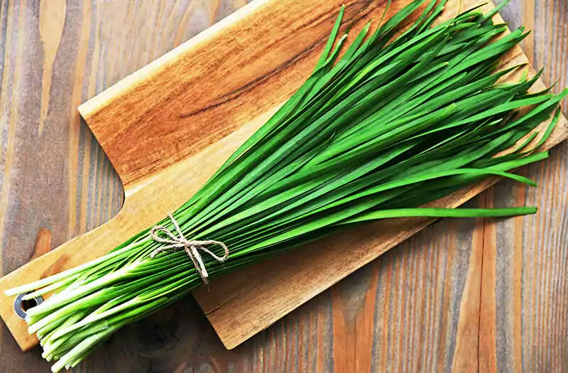 Fresh Chinese Chive