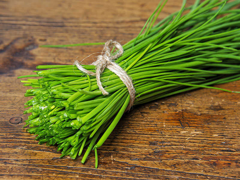 Fresh Chive