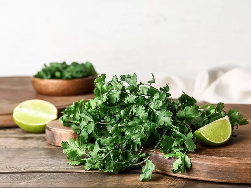 Fresh Coriander Leaves