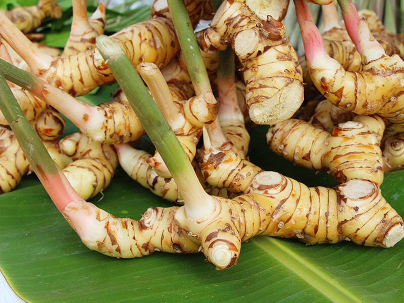 Galangal Root