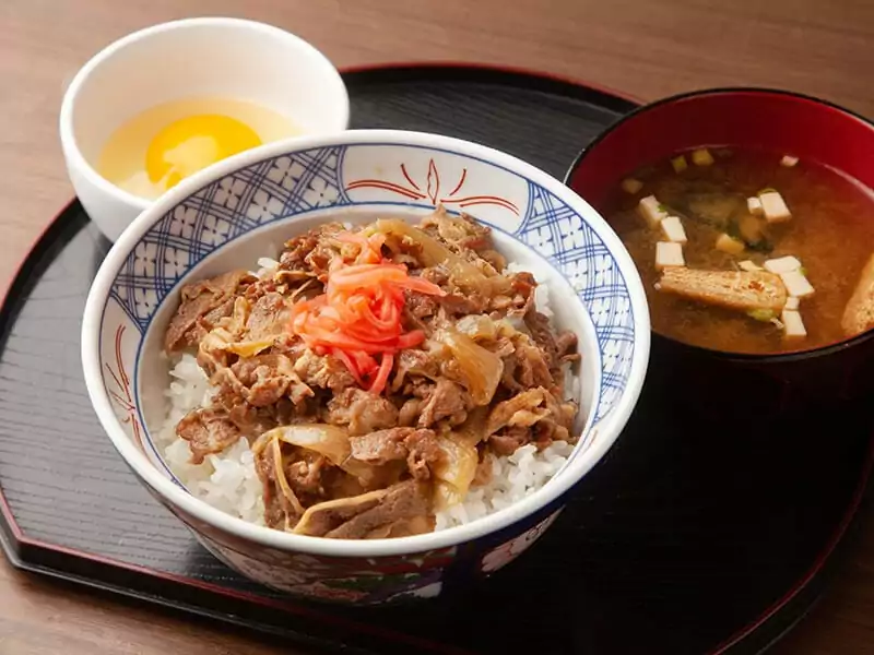 Gyudon Beef Rice Bowl