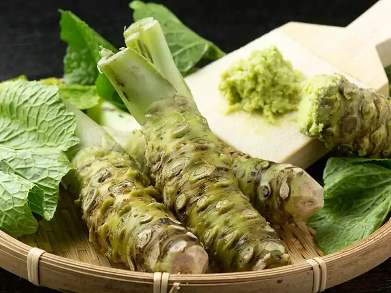 Horseradish Wasabi