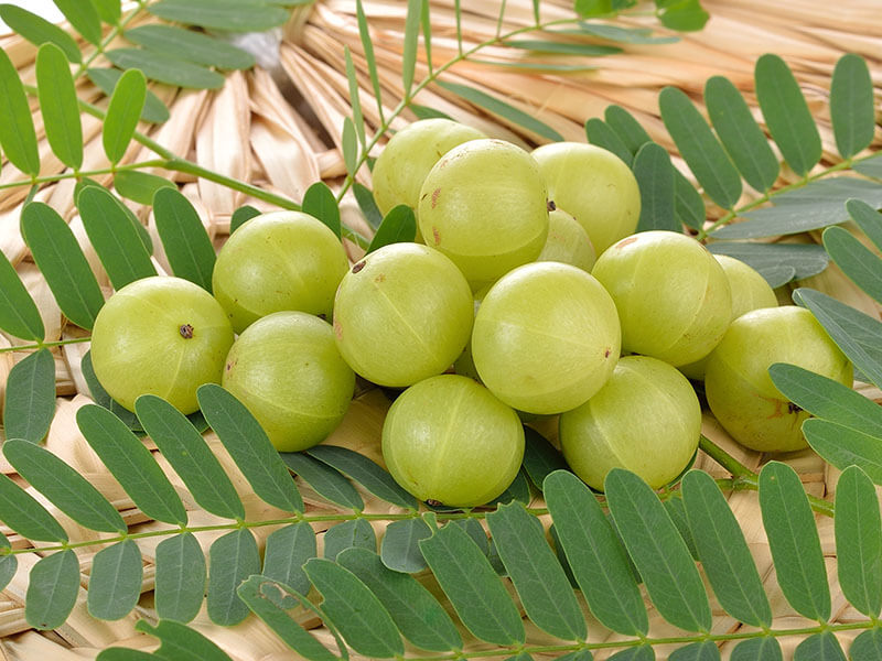 Indian Gooseberry