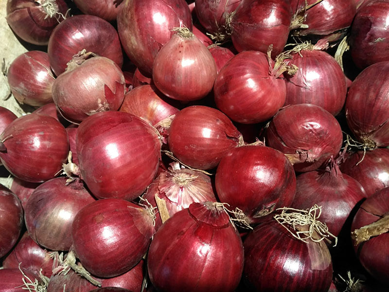 Italian Red Onion