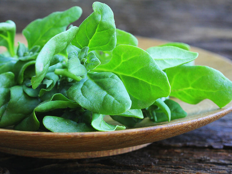 New Zealand Spinach