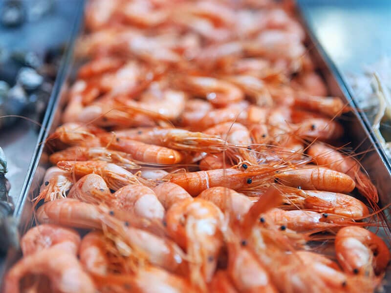 North Atlantic Shrimp