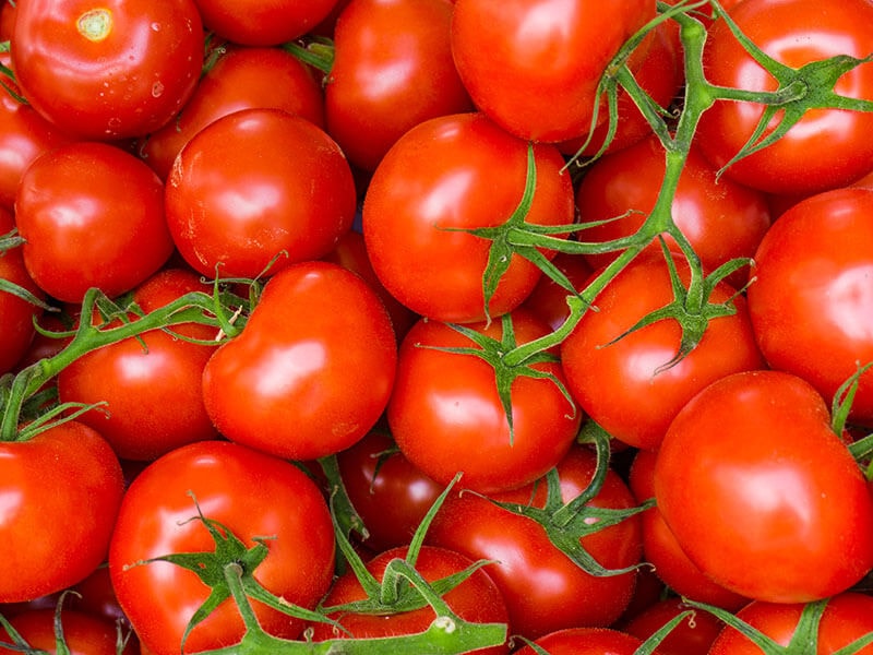 Red Tomatoes